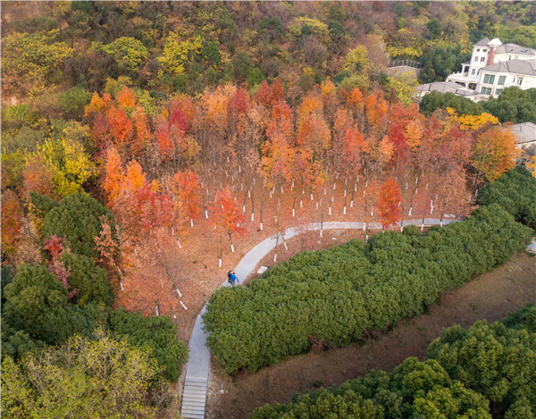 虞山生态步道 (2).jpg