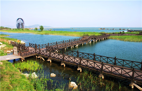 湿地公园-张妍.jpg