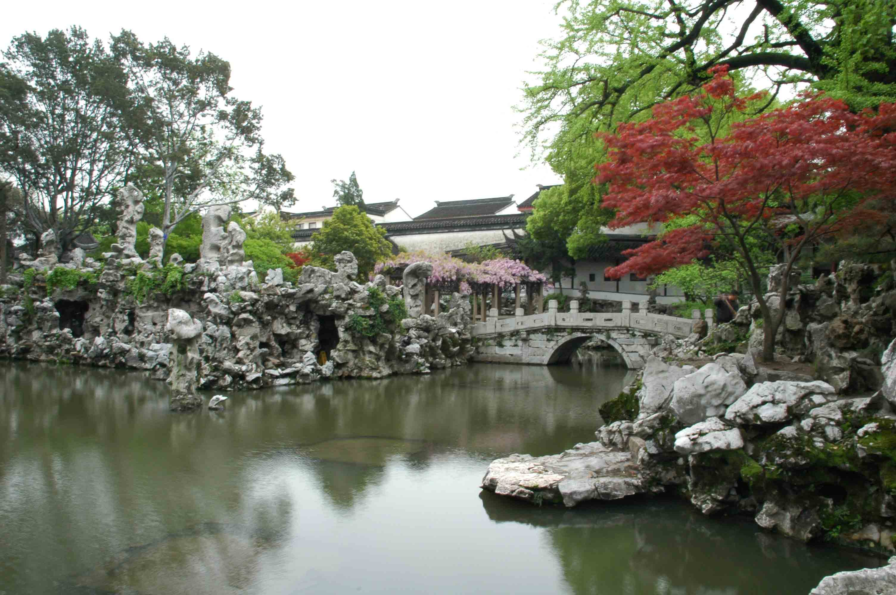 DSC_2411（缩?。?jpg