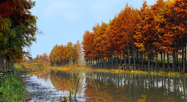 苏州虎丘湿地公园01.jpg