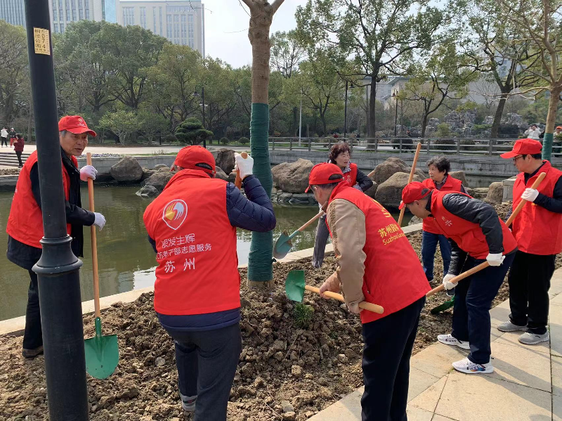 植树添新绿 不负好春光——桐泾公园开展义务植树活动