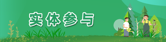 实体参与