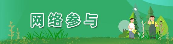 网络参与