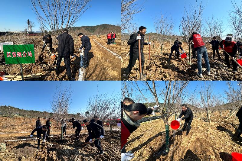 青山绿水吴中美 植树造林美吴中 2025年吴中区义务植树系列活动再掀高潮